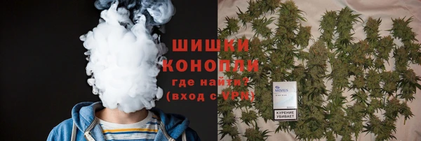 стаф Гусев