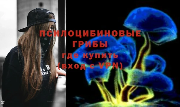 стаф Гусев