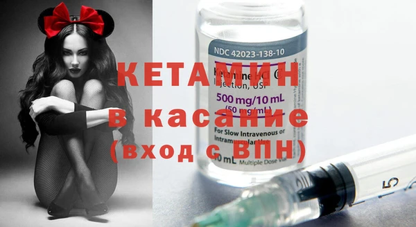 стаф Гусев