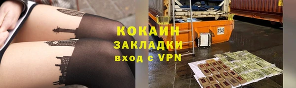 стаф Гусев