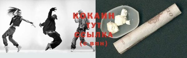 стаф Гусев
