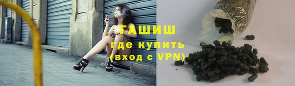 стаф Гусев
