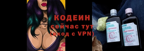 стаф Гусев