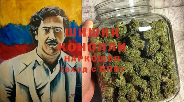 стаф Гусев