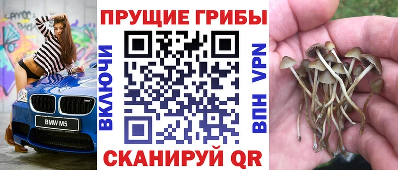 даркнет сайт  Улан-Удэ  Псилоцибиновые грибы мухоморы 